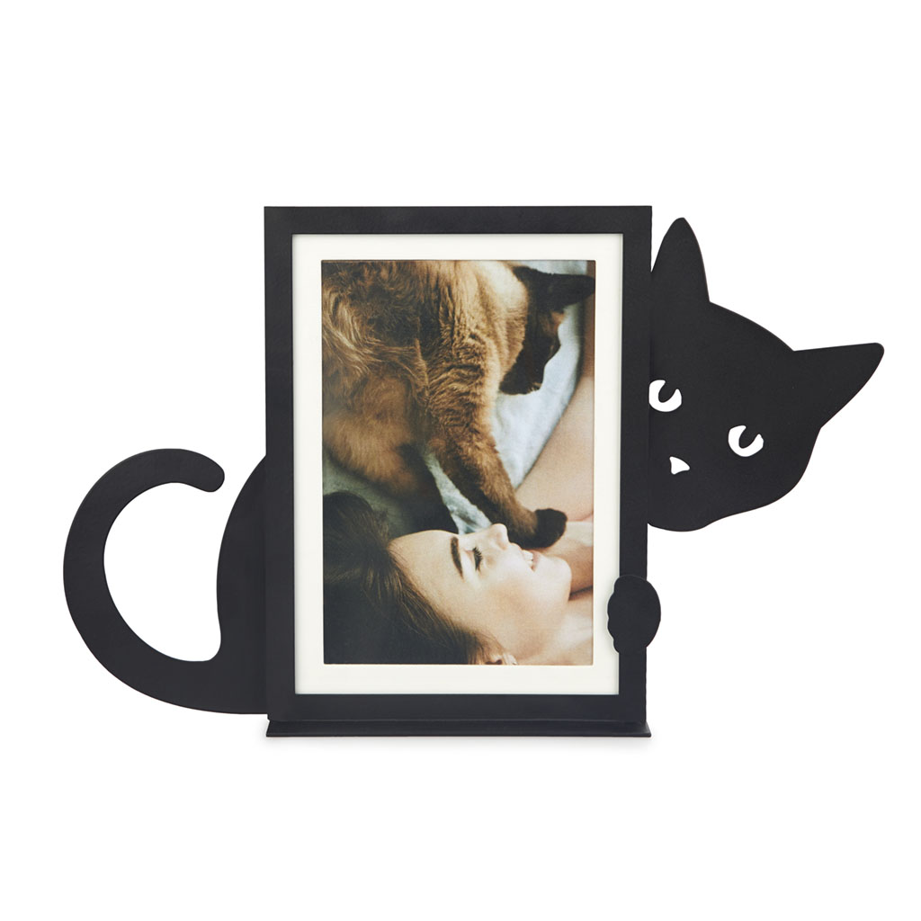 Frame,Hidden Cat,vertical,black,metal