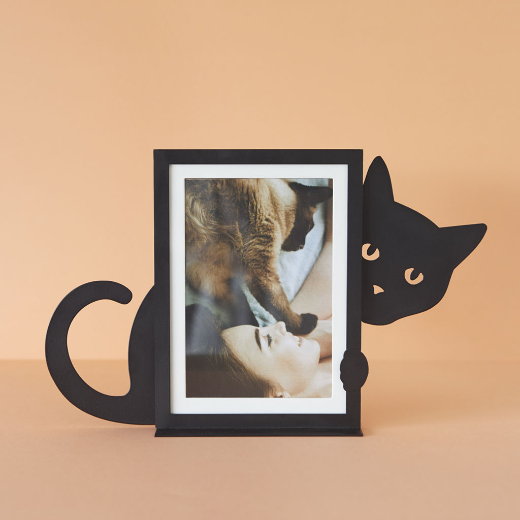 Frame,Hidden Cat,vertical,black,metal