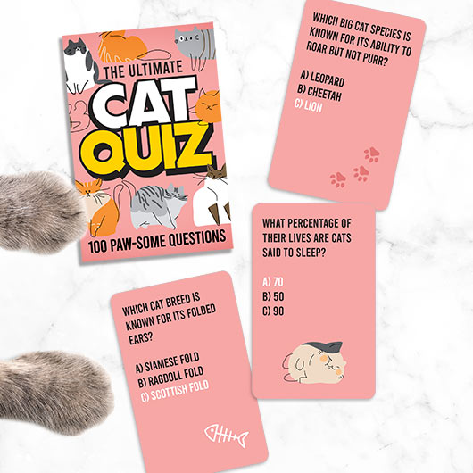 Frågesport Katt Cat Quiz