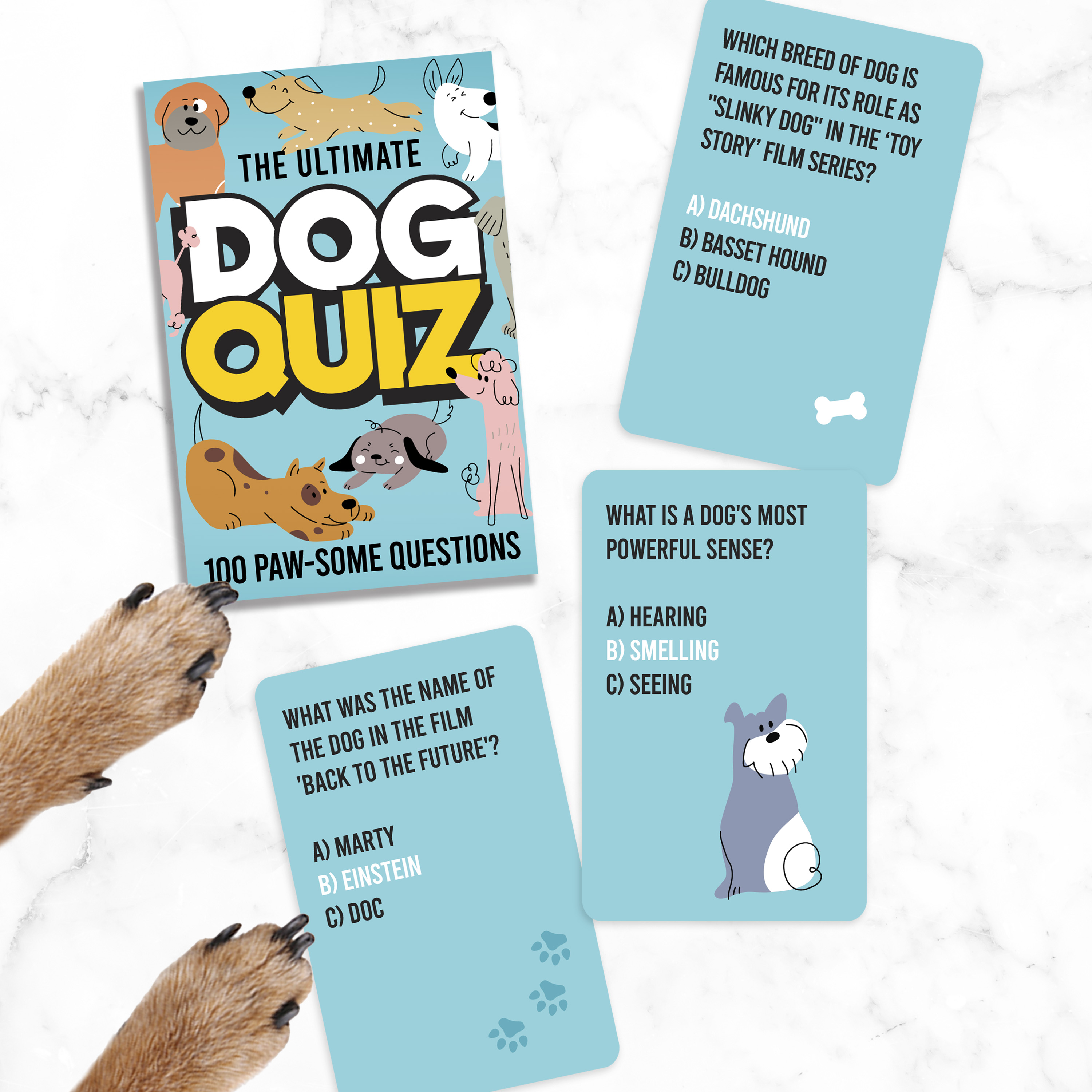 Quiz Dog