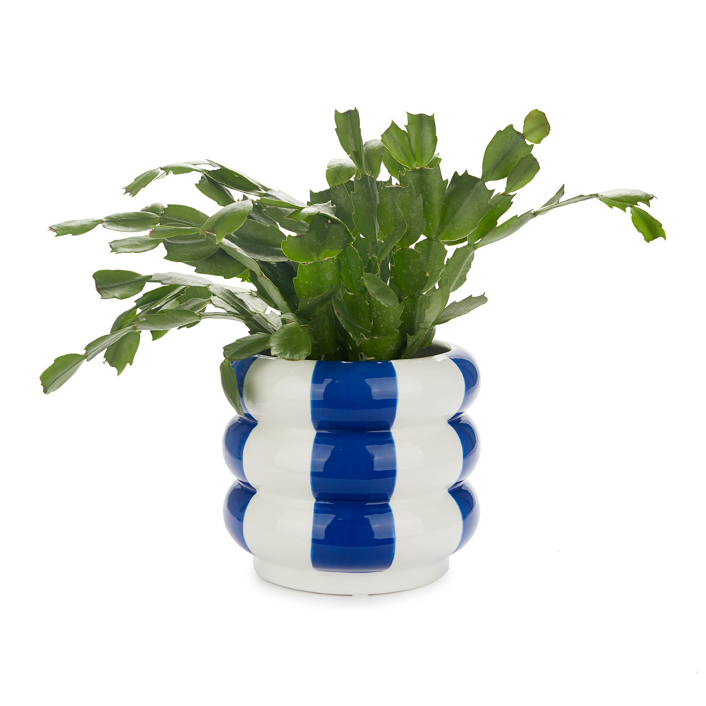 Ceramic flower pot Floats, blue, 14.5 cm