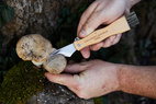 Foraging Knife